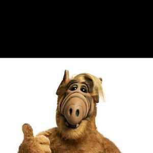 Meet your Posher, Arnelio